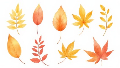 Autumn Leaves Collection: Watercolor Style, Isolated on White Background