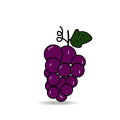 grape fruit illustration