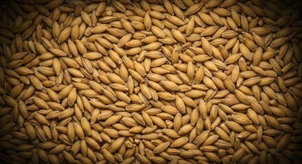 Overhead view of a pile of barley grains, showcasing a golden harvest ready for use.