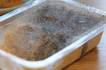 a box of humus covered with unappetizing mold on a table 