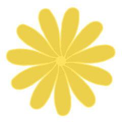 yellow flower on white