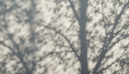 Captivating shadows cast by trees on a soft background nature photography outdoor setting artistic perspective tranquil atmosphere