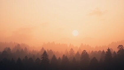 Obraz premium Serene sunrise over misty forest landscape nature photography tranquil environment aerial view atmospheric concept