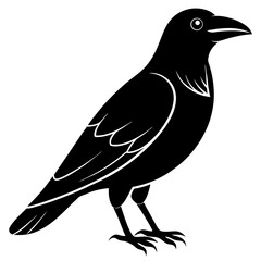 Animal Raven silhouette vector illustrator