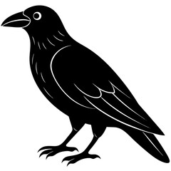 Animal Raven silhouette vector illustrator