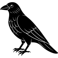 Animal Raven silhouette vector illustrator