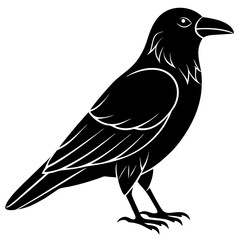 Animal Raven silhouette vector illustrator