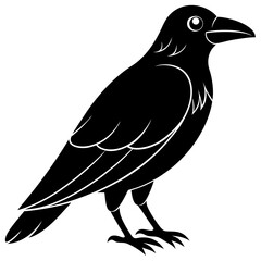 Animal Raven silhouette vector illustrator