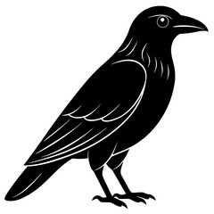 Animal Raven silhouette vector illustrator