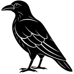 Animal Raven silhouette vector illustrator
