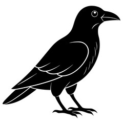 Animal Raven silhouette vector illustrator