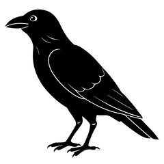 Animal Raven silhouette vector illustrator