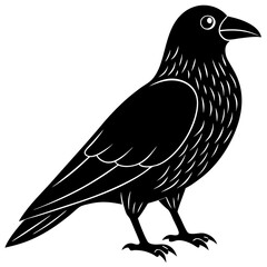 Animal Raven silhouette vector illustrator