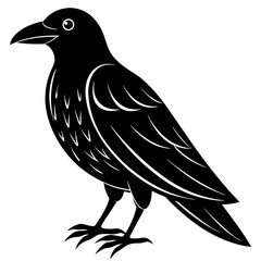 Animal Raven silhouette vector illustrator