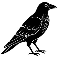 Animal Raven silhouette vector illustrator