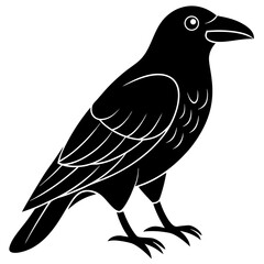 Animal Raven silhouette vector illustrator