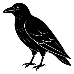 Animal Raven silhouette vector illustrator