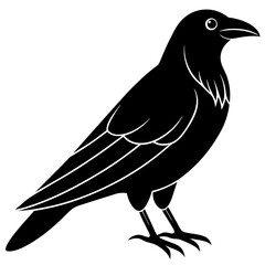 Animal Raven silhouette vector illustrator