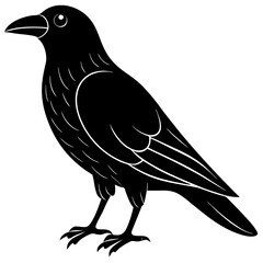Animal Raven silhouette vector illustrator