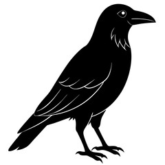 Animal Raven silhouette vector illustrator