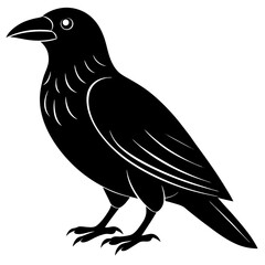 Animal Raven silhouette vector illustrator
