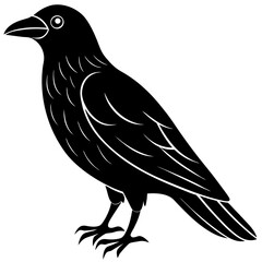 Animal Raven silhouette vector illustrator