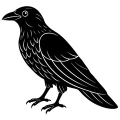 Animal Raven silhouette vector illustrator