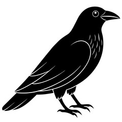 Animal Raven silhouette vector illustrator