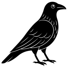 Animal Raven silhouette vector illustrator