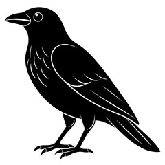 Animal Raven silhouette vector illustrator