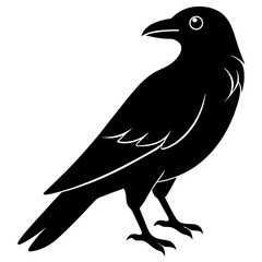 Animal Raven silhouette vector illustrator