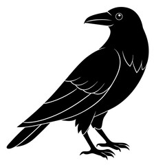 Animal Raven silhouette vector illustrator