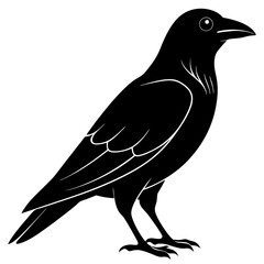 Animal Raven silhouette vector illustrator