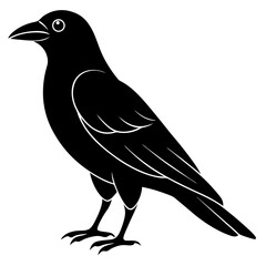 Animal Raven silhouette vector illustrator