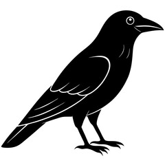 Animal Raven silhouette vector illustrator