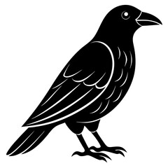 Animal Raven silhouette vector illustrator