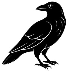 Fototapeta premium Animal Raven silhouette vector illustrator