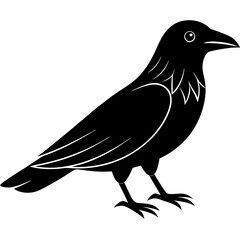 Animal Raven silhouette vector illustrator