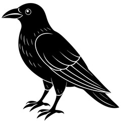 Animal Raven silhouette vector illustrator