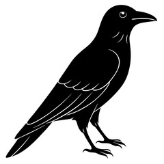 Animal Raven silhouette vector illustrator