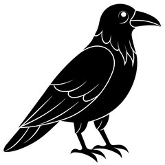 Animal Raven silhouette vector illustrator