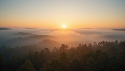 Obraz premium Breathtaking sunrise over misty forest landscape nature photography tranquil environment aerial view serenity and beauty