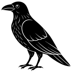Animal Raven silhouette vector illustrator