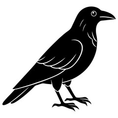 Animal Raven silhouette vector illustrator