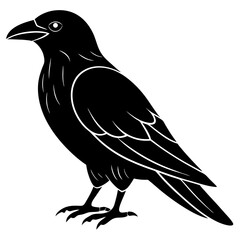 Animal Raven silhouette vector illustrator