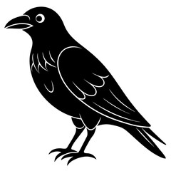 Animal Raven silhouette vector illustrator