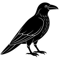 Animal Raven silhouette vector illustrator