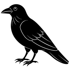 Animal Raven silhouette vector illustrator