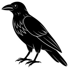 Animal Raven silhouette vector illustrator