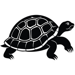 Toad Vector Illustration